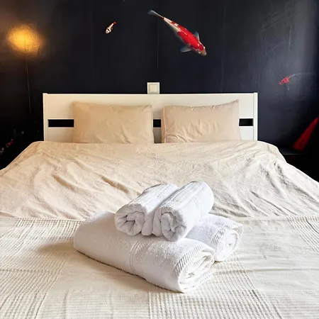 Apartmán Modernes 2-zimmer-apartment In Der Altstadt Koblenc