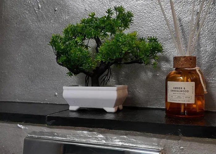 Modernes 2-zimmer-apartment In Der Altstadt Appartamento