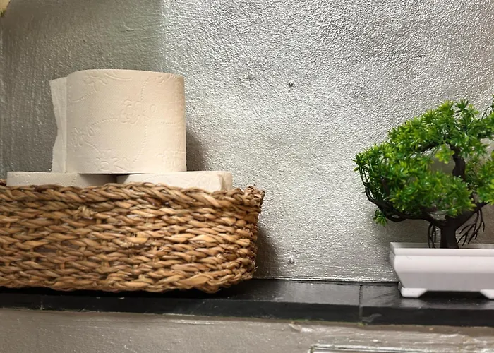 Modernes 2-zimmer-apartment In Der Altstadt *